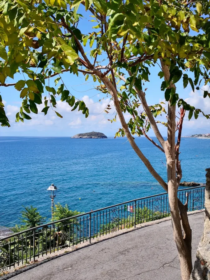 Vista panoramica sull'Isola di Cirella incorniciata dagli alberi dal belvedere di Diamante