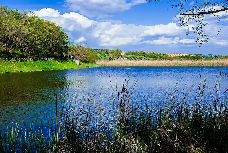 Paesaggio naturalistico del Lago Farneto ad Altomonte circondato da vegetazione, canneti e colline